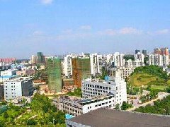 文昌市全力打造文昌雞品牌 做好文昌雞產業規劃