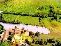 桐樓：及早規劃產業 助力脫貧攻堅