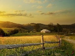 全球橡膠專家聚海口謀劃產業規劃振興