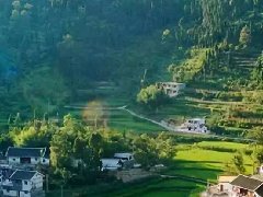 2020年沙市區紡織服裝產業集群工作推進會召開