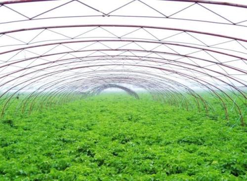 井岡山農業(yè)科技園上榜國家農村產業(yè)融合發(fā)展示范園