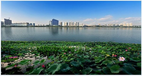 遂寧經開區：讓“紅色基因”激蕩企業發展春潮