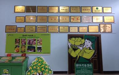 “芒果百色,香飄百地” 國內首家芒果精深加工特色產業(yè)基地申報進行時