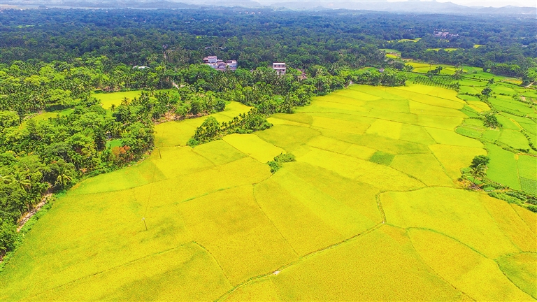 美國大農(nóng)場、以色列滴灌、德國高科技……農(nóng)業(yè)大國哪家強(qiáng)？
