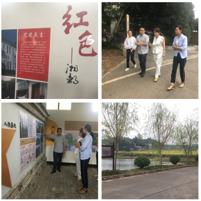 我院助力大成橋鎮(zhèn)爭(zhēng)創(chuàng)全國(guó)鄉(xiāng)村治理示范鎮(zhèn)