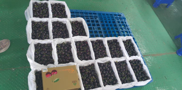 補(bǔ)足短板，迎頭趕上—瓦房店國(guó)家現(xiàn)代農(nóng)業(yè)產(chǎn)業(yè)園再出發(fā)