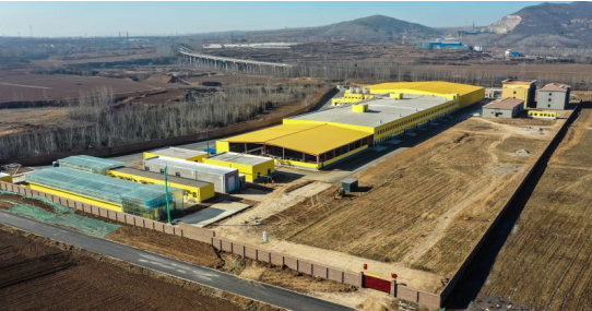 錦繡“五彩農業(yè)”，高平市爭創(chuàng)國家 現(xiàn)代農業(yè)產業(yè)園吹響集結號