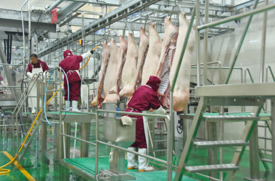 錦繡“五彩農業(yè)”，高平市爭創(chuàng)國家 現(xiàn)代農業(yè)產業(yè)園吹響集結號