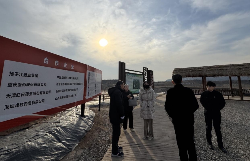 大盈之地，寶藏內丘—我院專家組走進太行山 酸棗之鄉調研